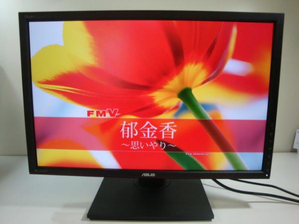 PA248Qの画像